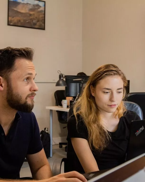 Wordpress development - team in the site code review