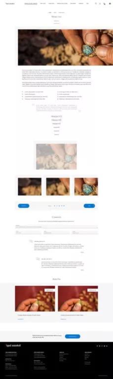A screenshot showing the elements of the website