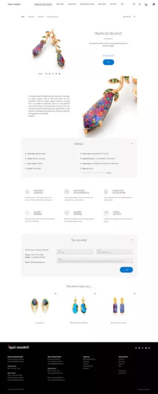 Screenshot showing the product page